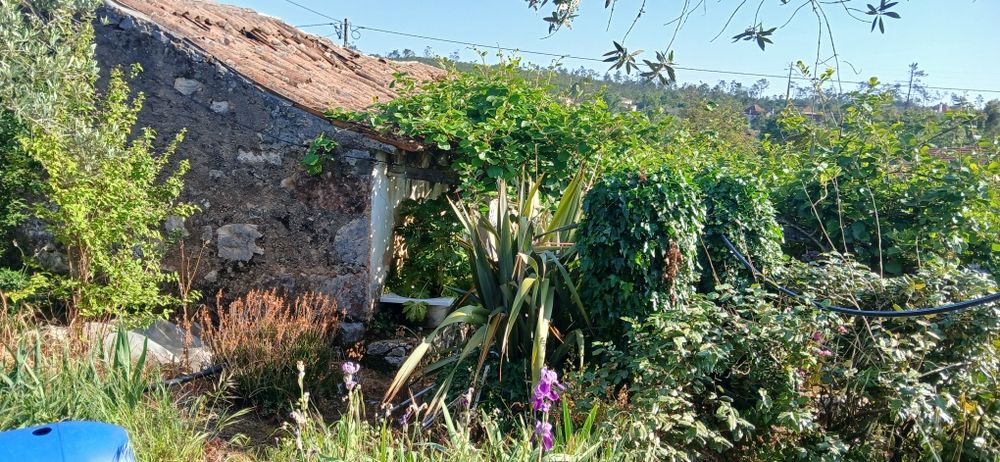 Moradia em pedra para restaurar