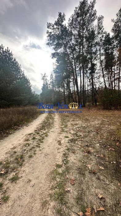 Продажа земли  под строительство  городка   село Березовка .