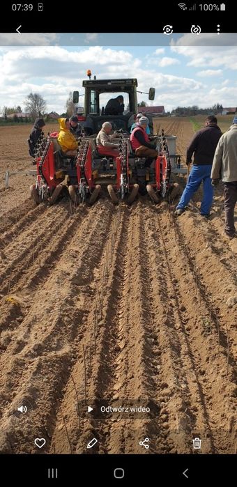 Sadzarka szkółkarska