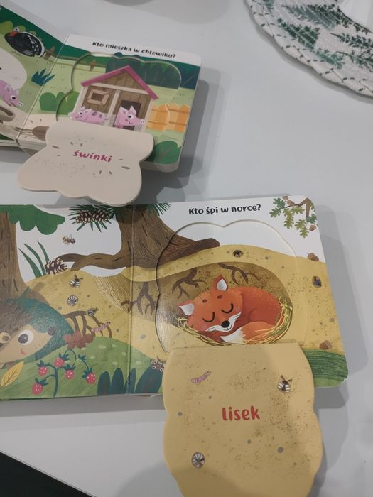 Co kryją okienka? Na wsi i w lesie