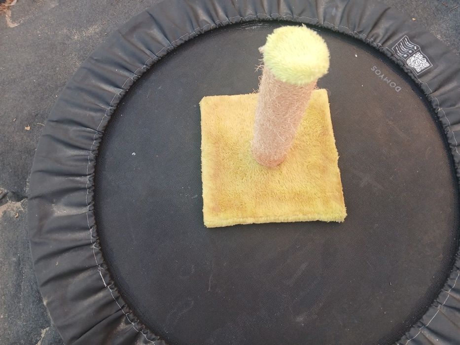 Arranhador para gatos, muito pouco utilizado.