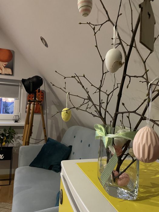Apartament Loft  103  do wynajecia