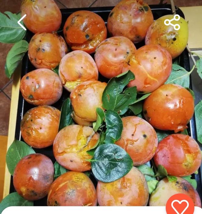 Dióspiros biologicos