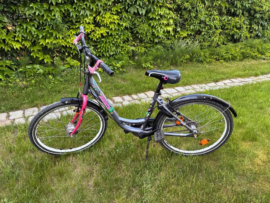 Rower batavus 24 cale