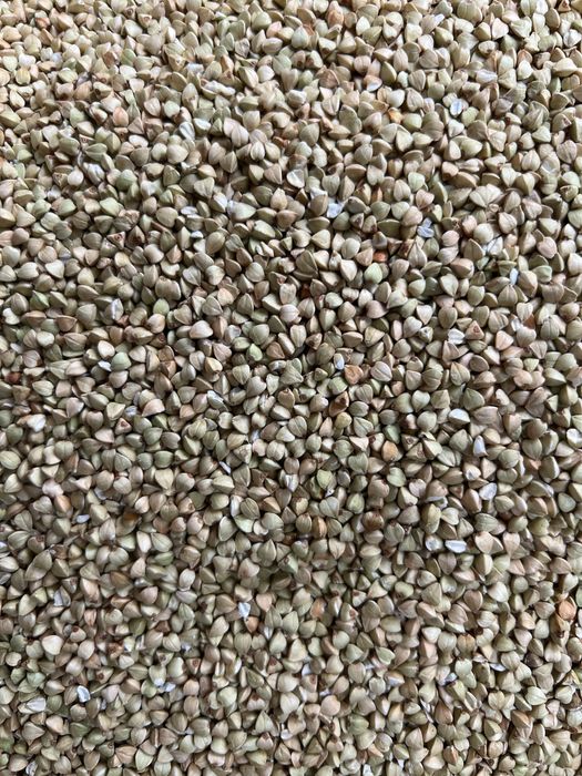 Ekologiczna kasza gryczana certyfikat