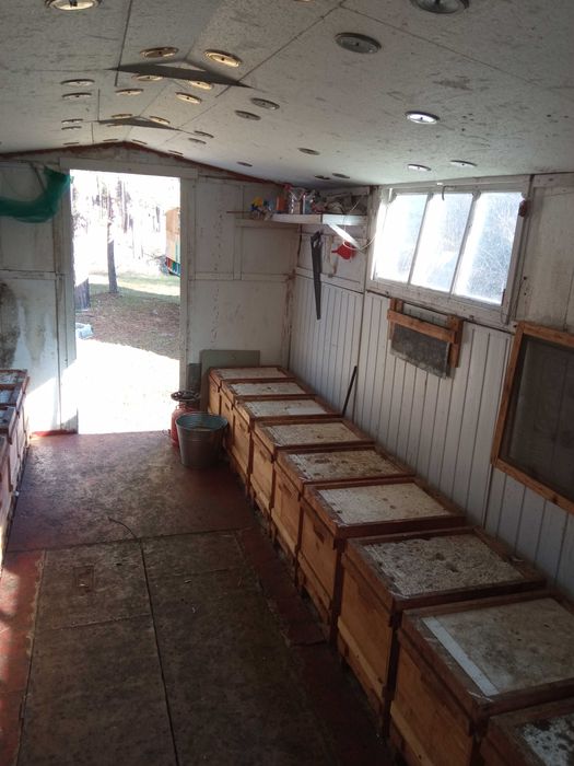 Бджолопавільйон на 30 сімей