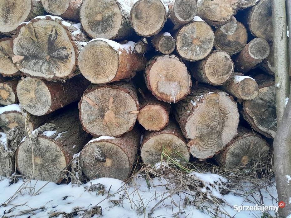 Sprzedam drewno opałowe Sosna