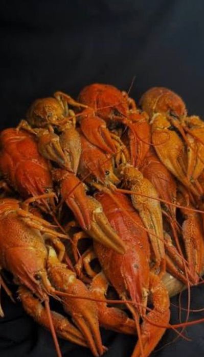 Продам живі раки та варені