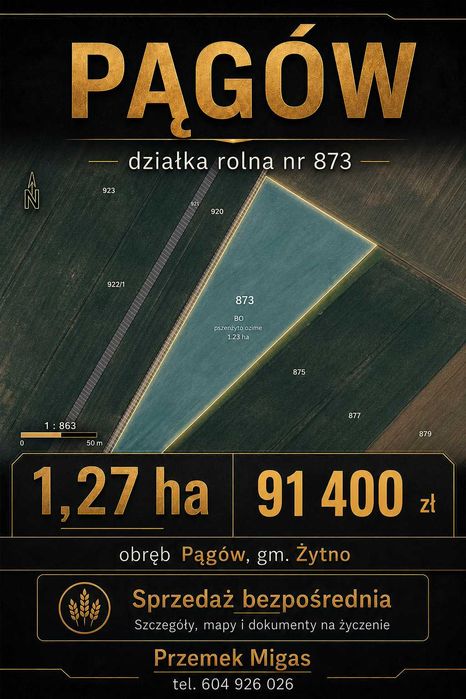 Pągów gm. Żytno - Działka rolna 1,27 ha – bezpośrednio - Widok 4