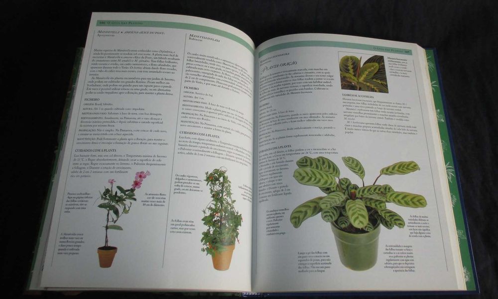 Livro O Grande Livro das Plantas de Interior Jane Courtier