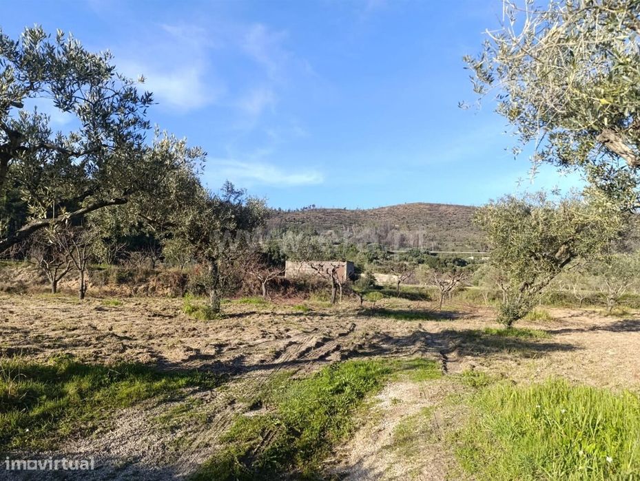 Terreno / Fundão, Vale de Prazeres e Mata da Rainha — Vale De Prazeres E Mata Da Rainha, Castelo Branco