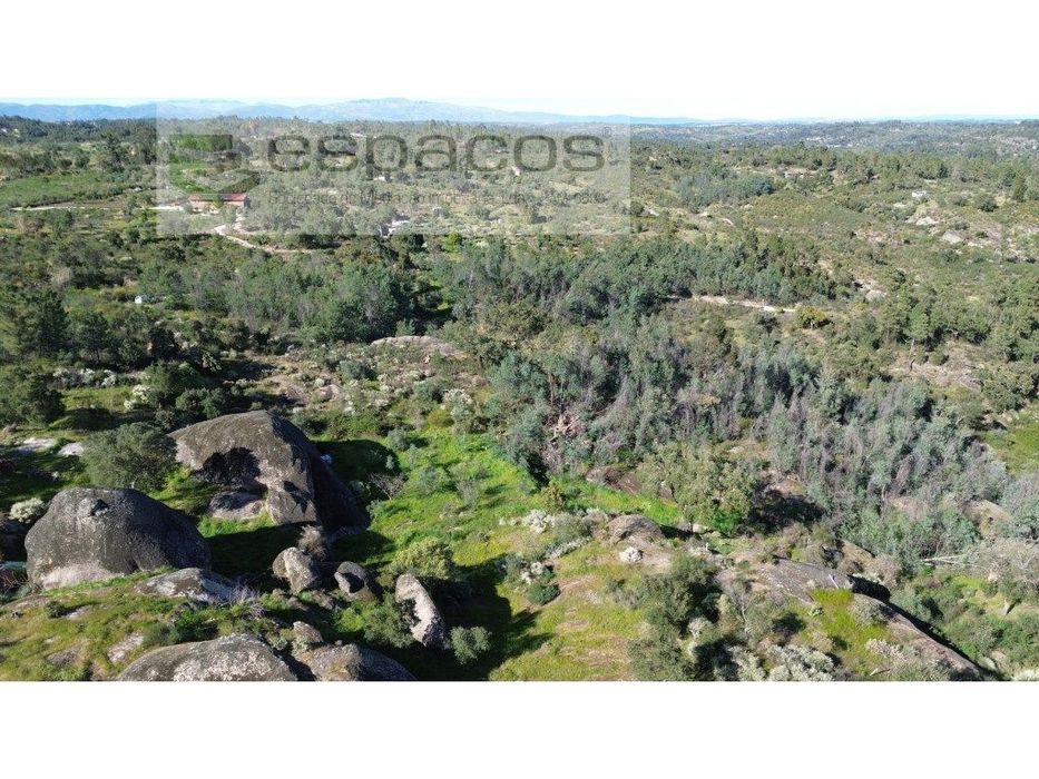 Quinta S. Lourenço - Palvarinho