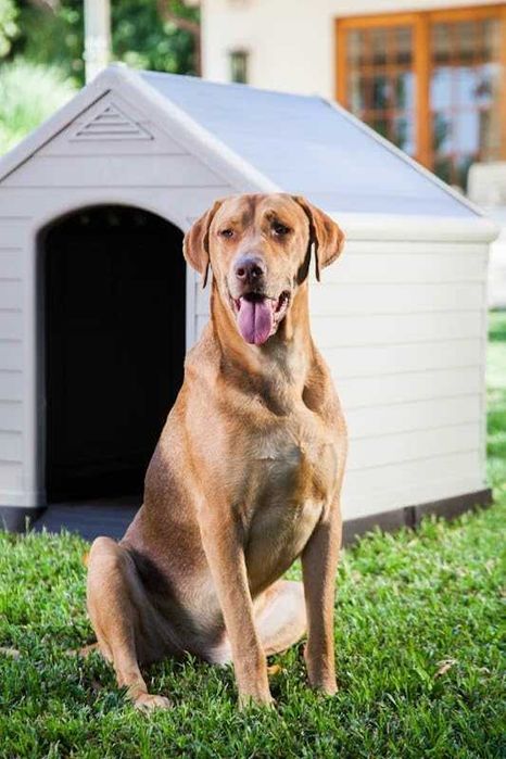 Casota de cão 95 x 99 x 99 cm [cinzento ou castanho] NOVO ENVIO GRÁTIS