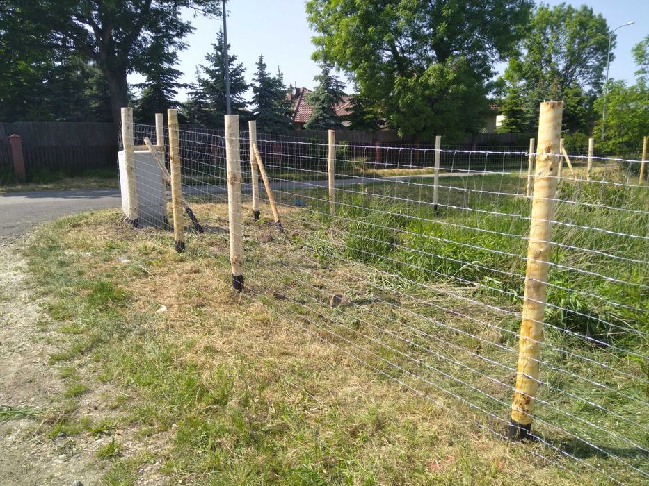 Ogrodzenia z siatki leśnej–montaż z materiałem, szybkie terminy