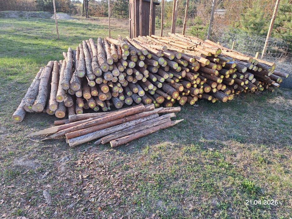 Stemple budowlane drewniane – używane