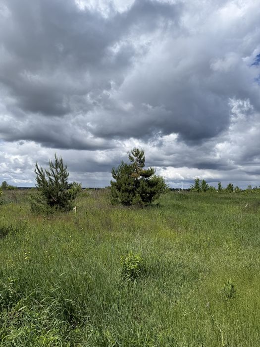 Земельна ділянка, С. Нові-Петрівці (масив молодіжнмй), 6сот. під забудову. - View 5
