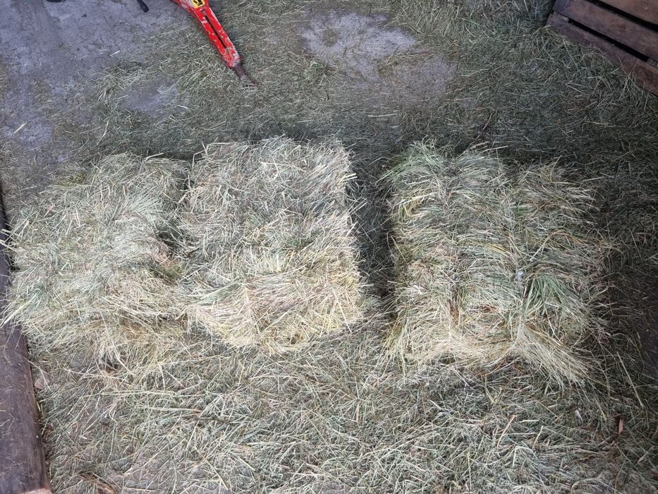 Sprzedam Siano Kostka