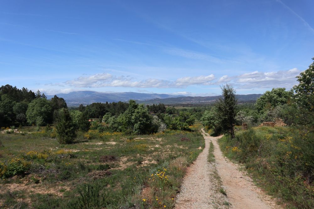 Quinta de 3,6 hectares com ruínas e terreno urbano em Alcaide