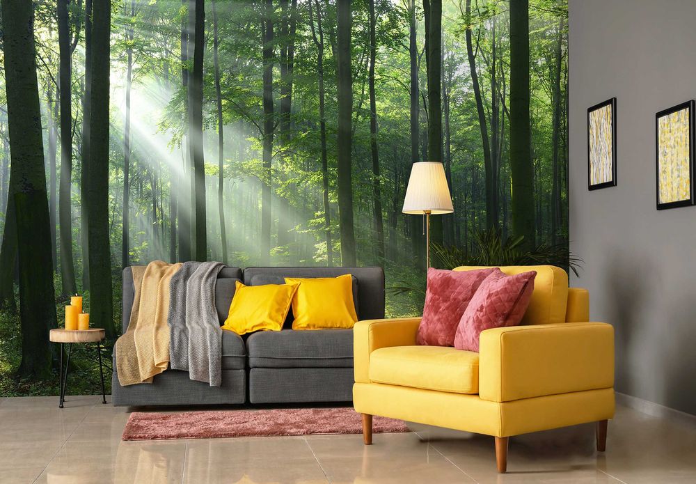 Fototapeta Las Zieleń Słońce Natura 3D Na Twój Rozmiar + KLEJ