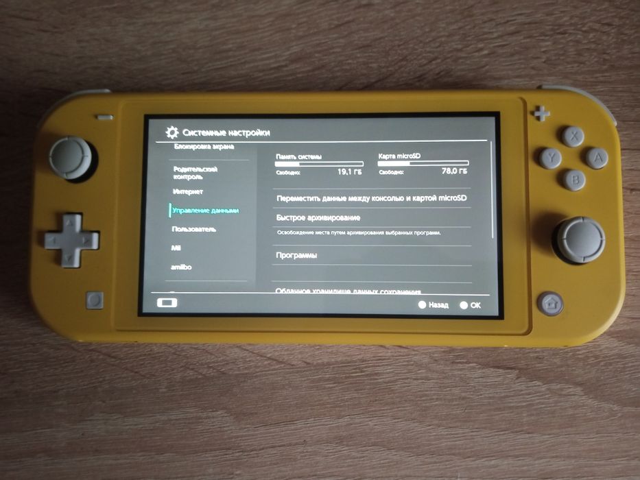 Nintendo switch lite