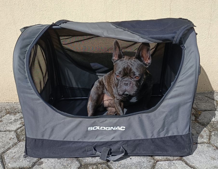 Casota média para cão