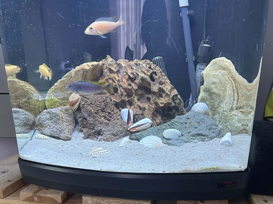 Akwarium z filtrem