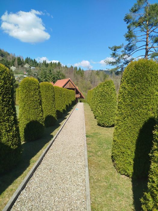 Domek "na Majdanie" Muszyna