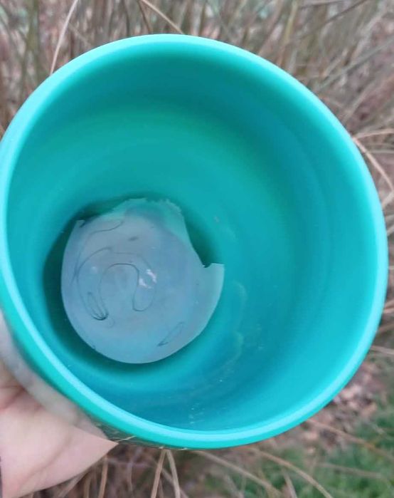 KIS - pojemnik / czarka