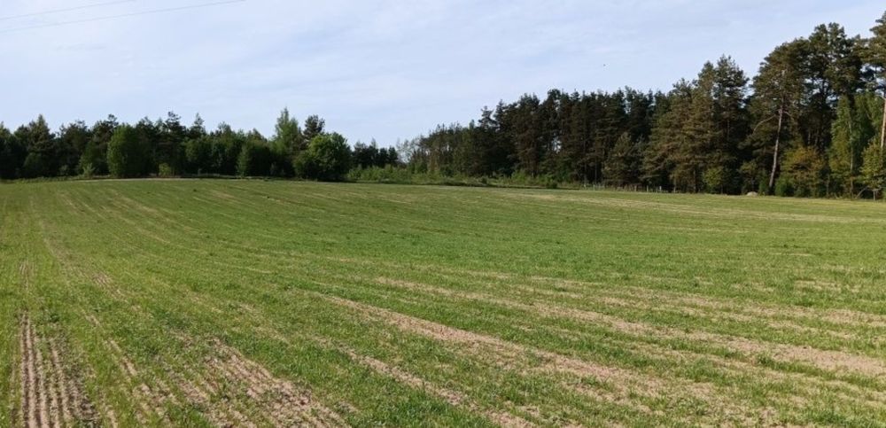 Działka rolno-budowlana