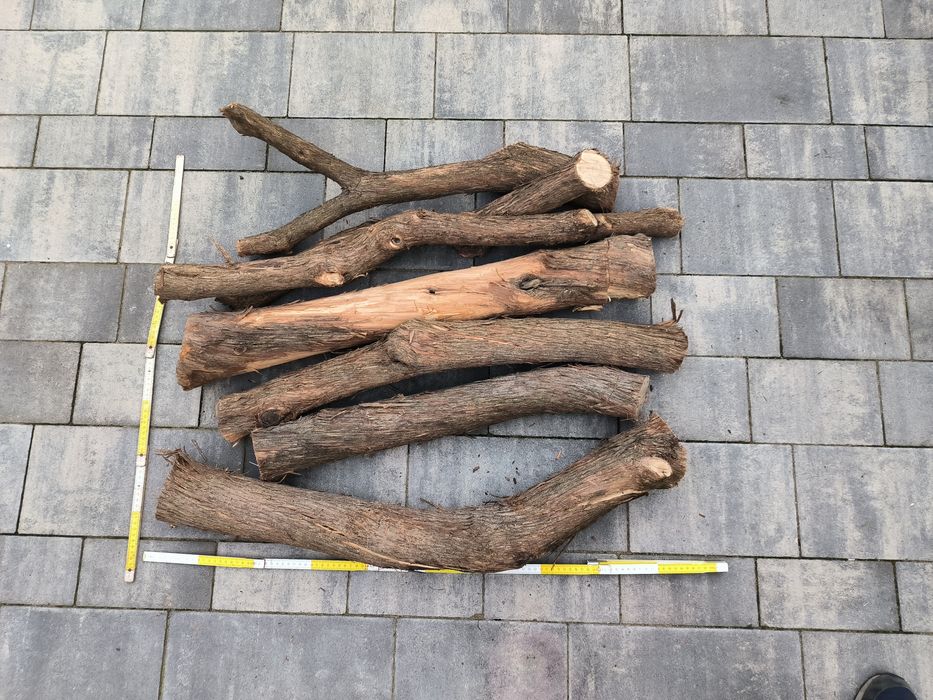 Sprzedam drewno lilaka, lilak pospolity, bez