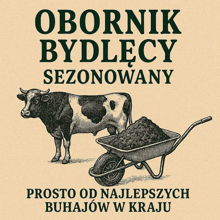 Obornik bydlęcy sezonowany. Od najlepszych buhajów w Polsce