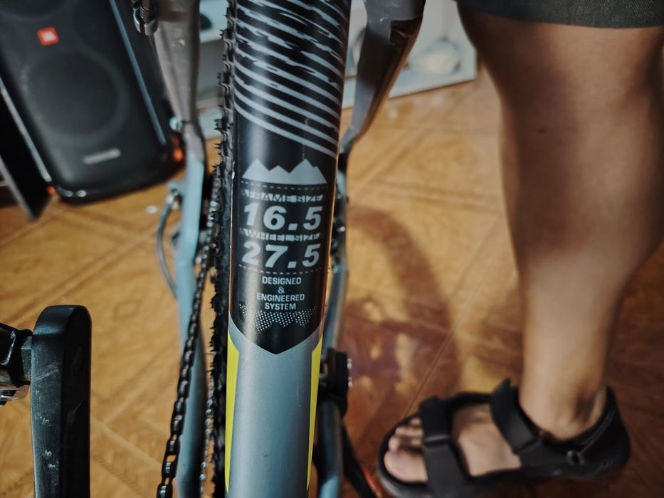 Bicicleta elétrica