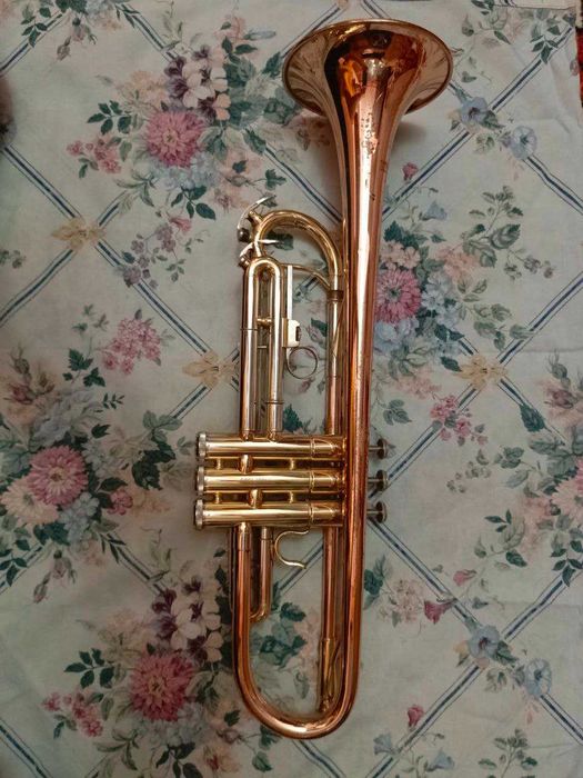 Труба Roy Benson