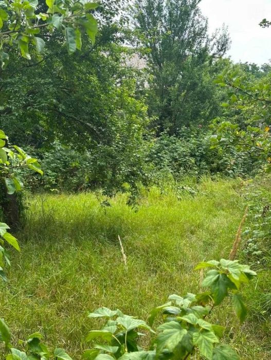 Продаж затишної дачі в 15 хв. від Львова