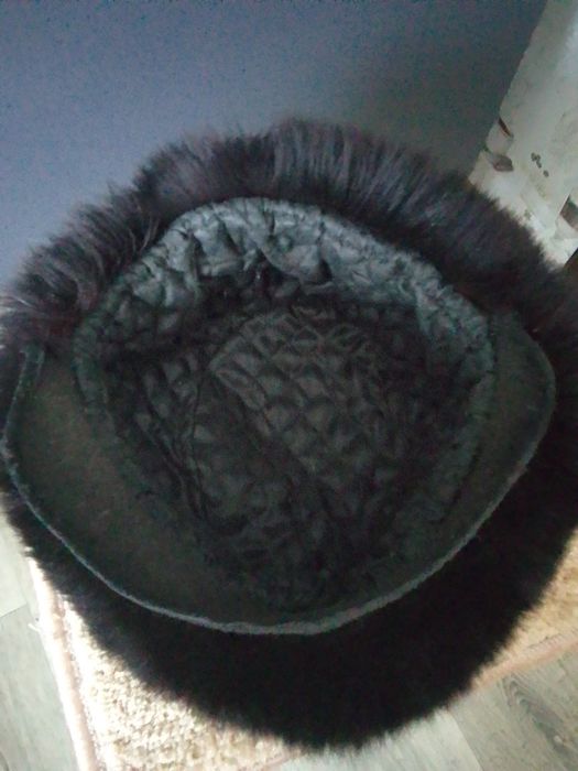 Песець фарбований в чорний!