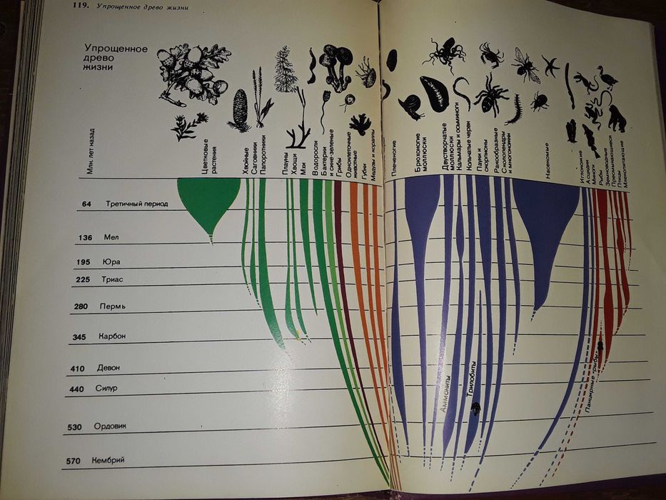 Дэвид Эттенборо "Жизнь на Земле"