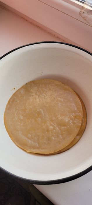 Чайний гриб. КОМБУЧА.