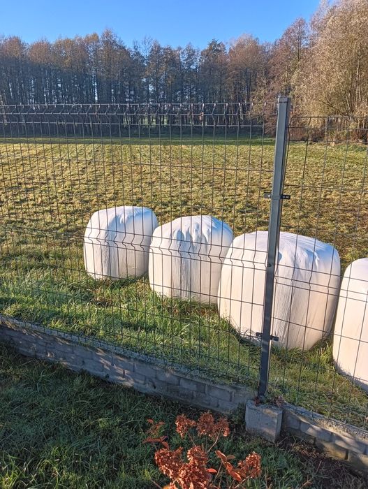 Sianokiszonka z trawy