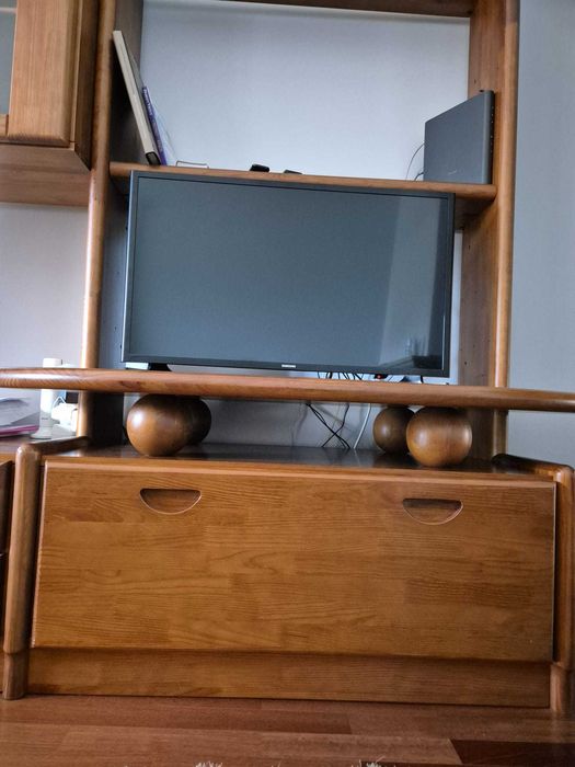 Móvel TV (televisão) - Cerejeira