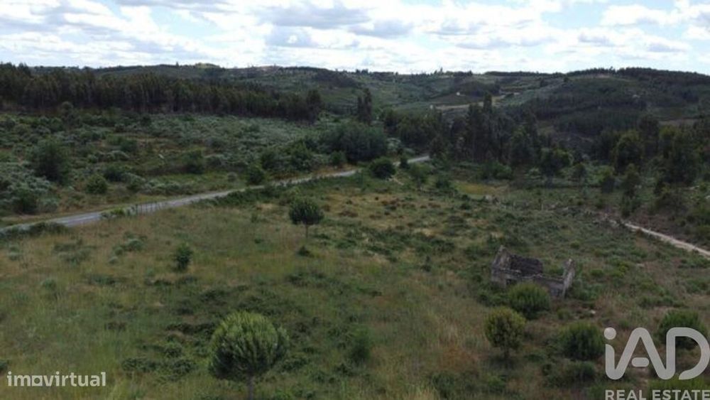 Terreno para construção em Seixo da Beira de 48000,00 m2