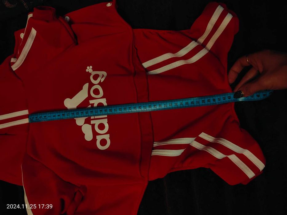 Одежка для собачки