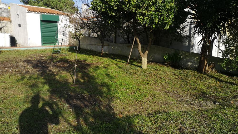 Trabalhos de pintura e corta mato