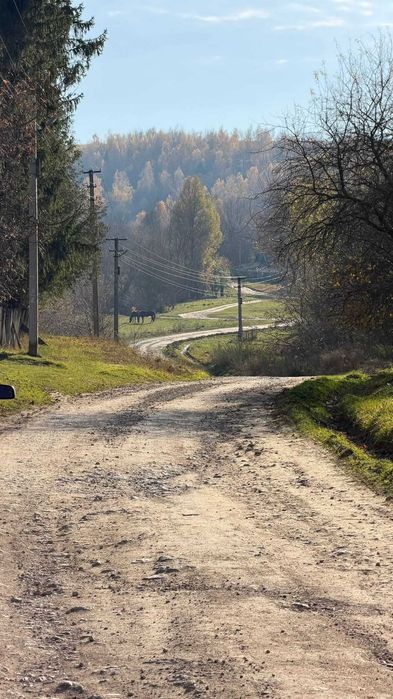 Продаж будинку біля Вишнівця