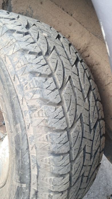 Peças Galloper disponíveis