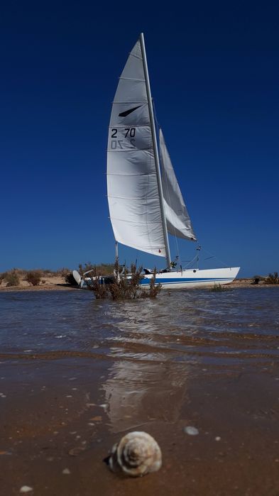 Catamarã DART 18, Vela ligeira.