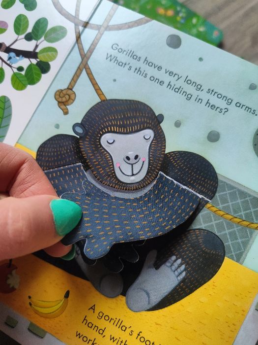 8 książeczek z serii peep inside usborne