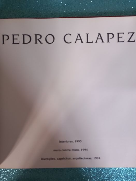 Pedro Calapez – Wall Against Wall / Interiors / Inventions, Caprices, Arch.64553197798147121