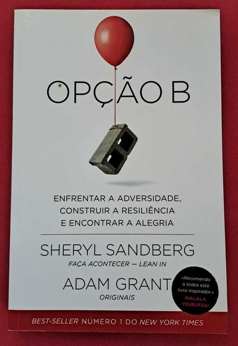 "Opção B  Enfrentar a adversidade, construir a resiliência e ..."