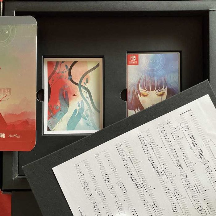 Grey - Edição de Coleccionador para Nintendo Switch com Livro de Arte