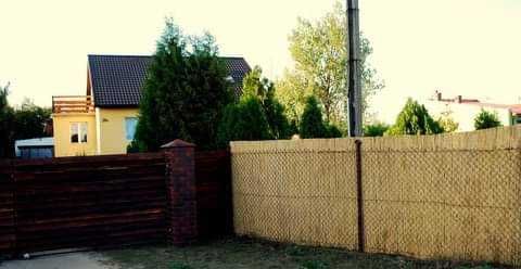 Mata trzcinowa maty trzcinowe trzcina 120x600